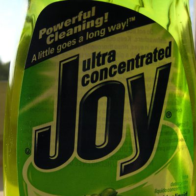 Joy